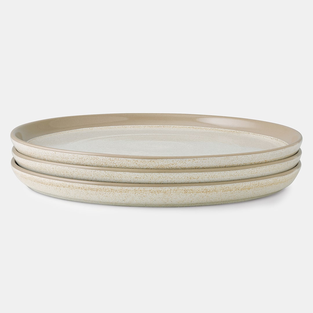 Fossil Dinner Plate - Set of 3
