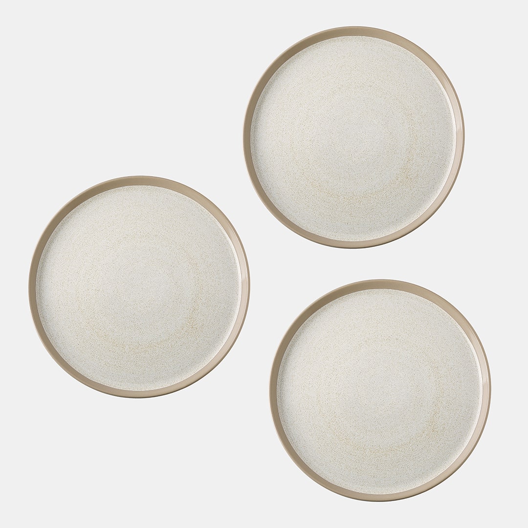 Fossil Dinner Plate - Set of 3