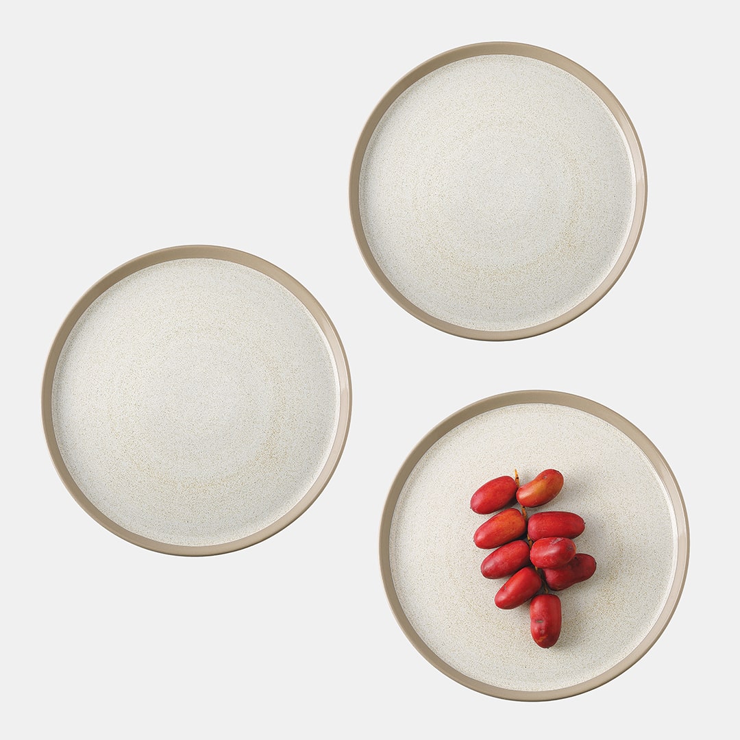 Fossil Dinner Plate - Set of 3