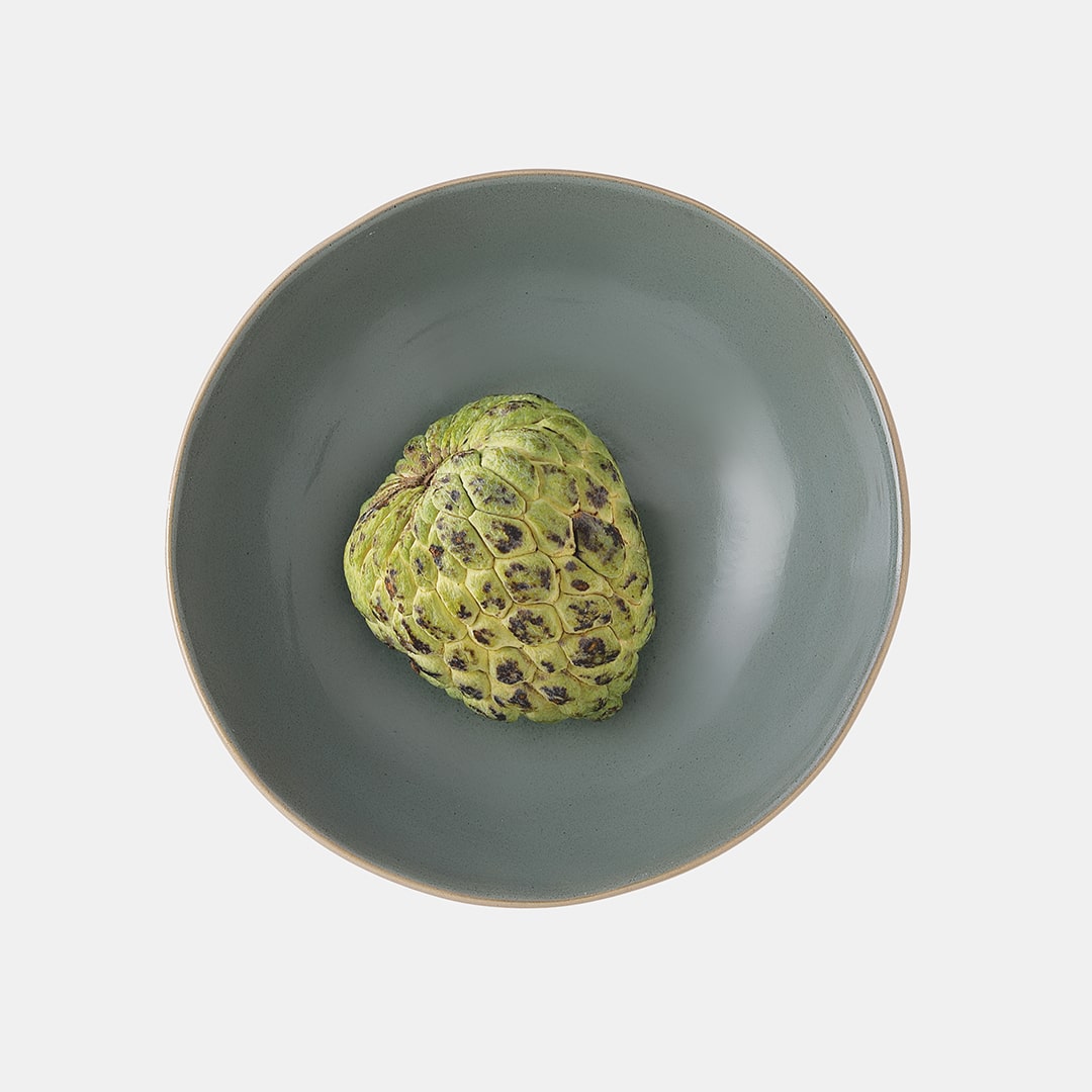 Moss Shallow Bowl 18