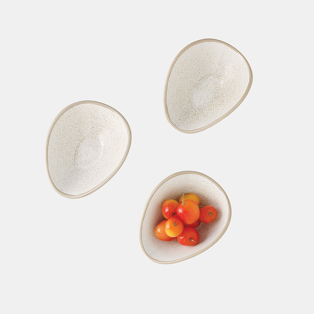 Fossil Grove - Set of 3