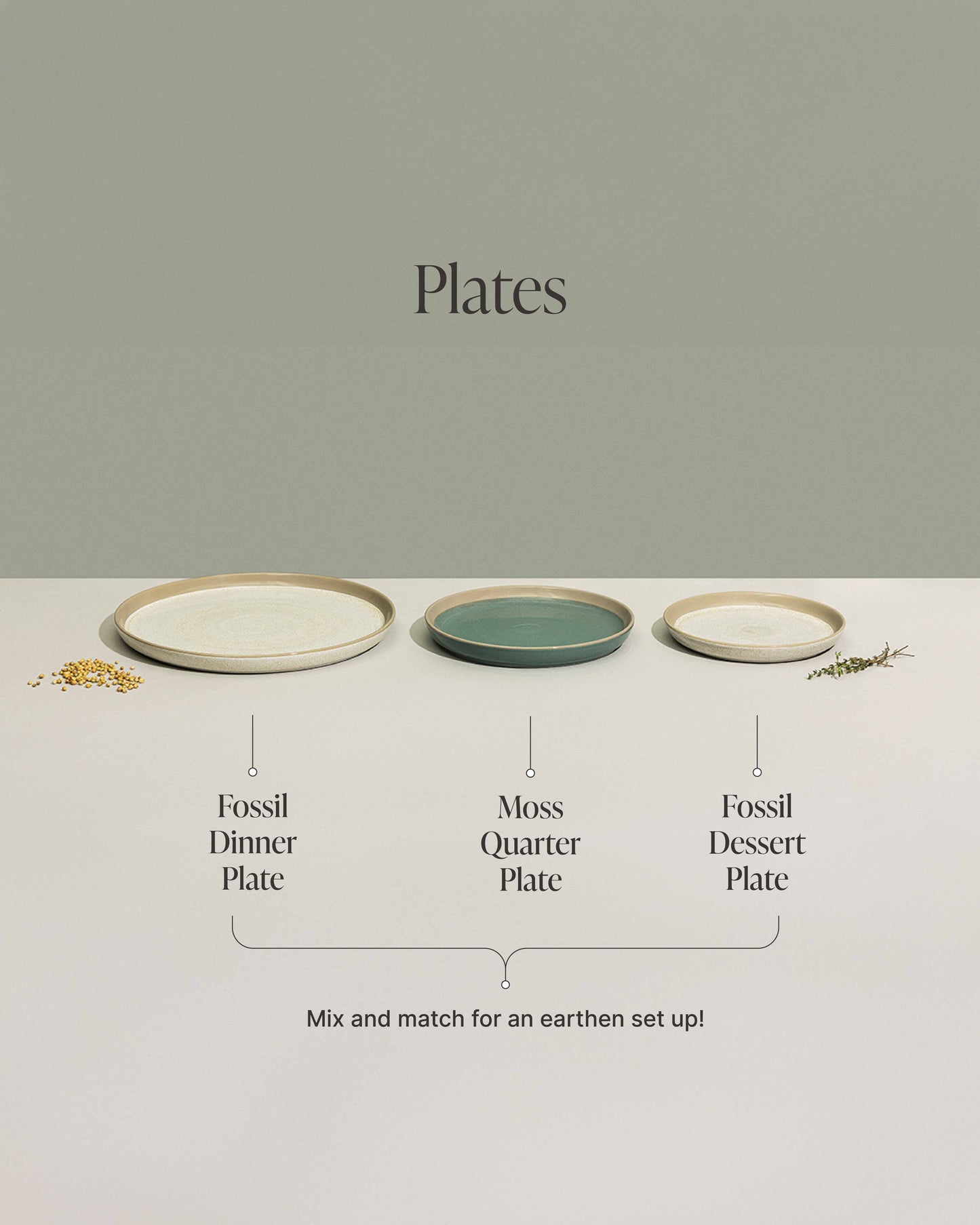 Fossil Dessert Plate - Set of 3