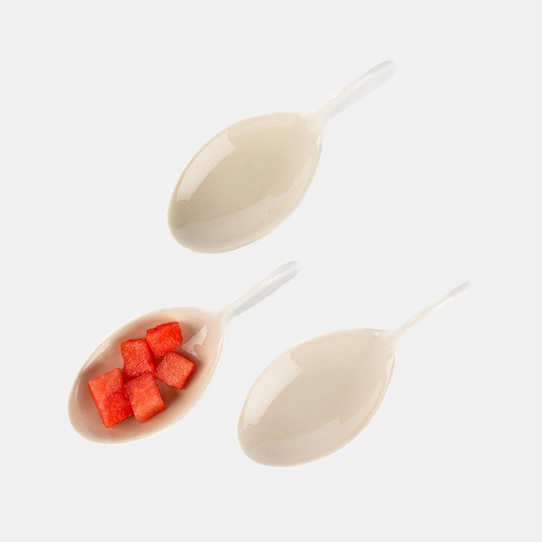 Sand Fish - Set of 3