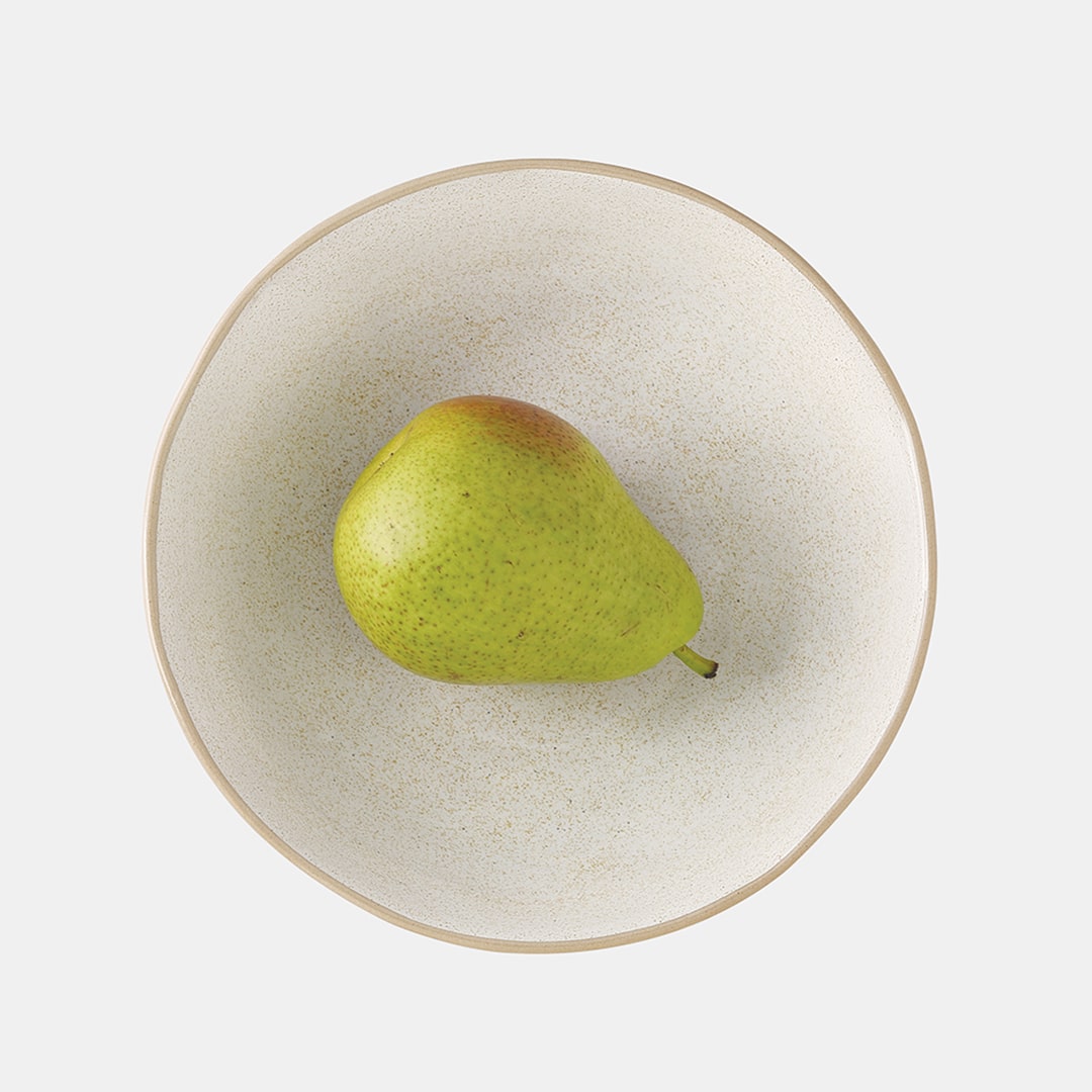 Fossil Shallow Bowl 18