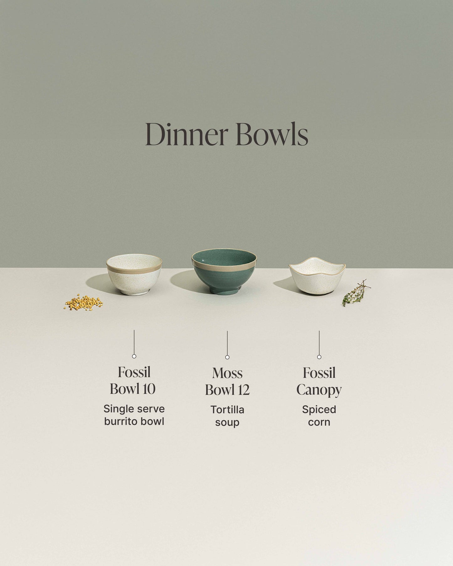 Fossil Bowl 10 - Set of 3